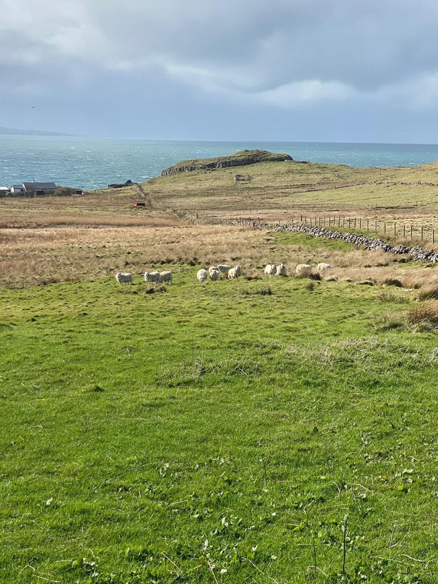 Cnoc Ruaraidh Cottage Kilmuir  Экстерьер фото